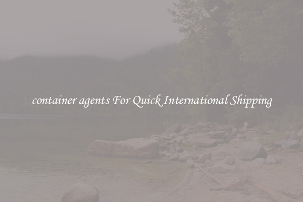 container agents For Quick International Shipping