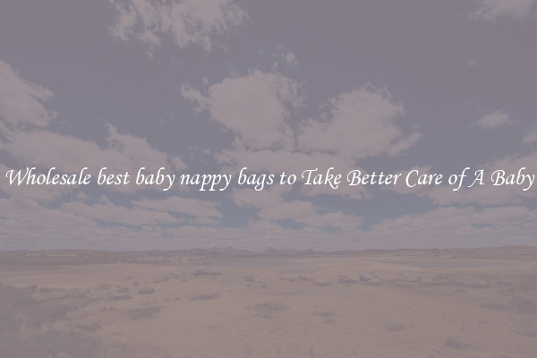 Wholesale best baby nappy bags to Take Better Care of A Baby