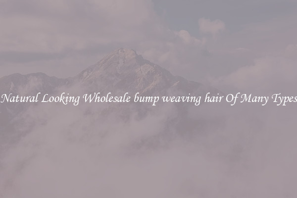 Natural Looking Wholesale bump weaving hair Of Many Types