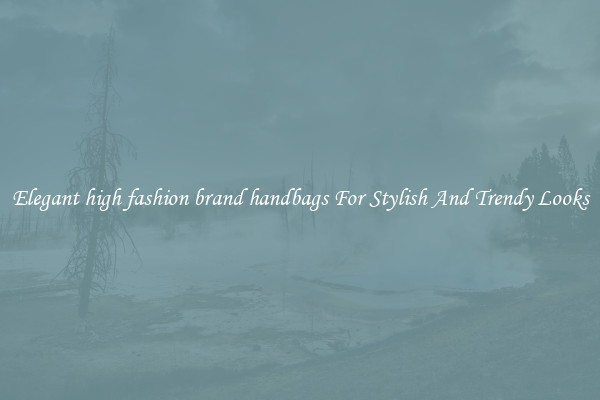 Elegant high fashion brand handbags For Stylish And Trendy Looks