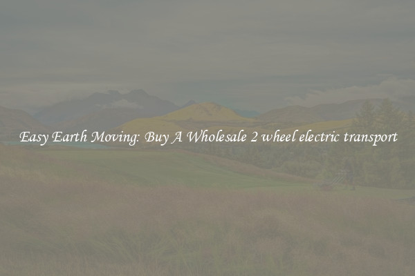 Easy Earth Moving: Buy A Wholesale 2 wheel electric transport