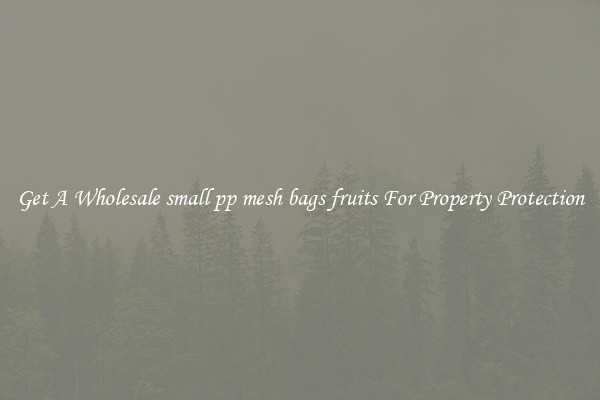 Get A Wholesale small pp mesh bags fruits For Property Protection