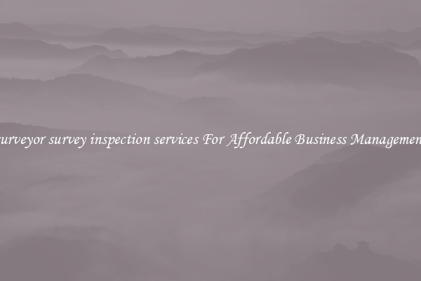 surveyor survey inspection services For Affordable Business Management