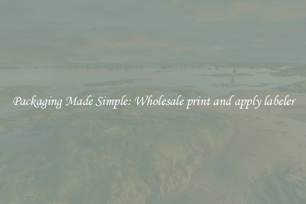 Packaging Made Simple: Wholesale print and apply labeler