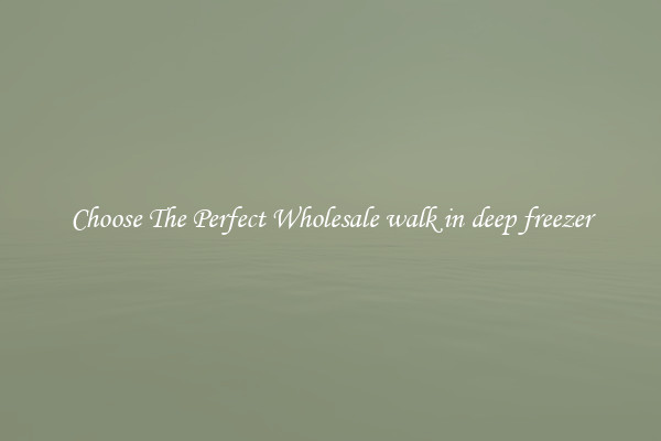 Choose The Perfect Wholesale walk in deep freezer