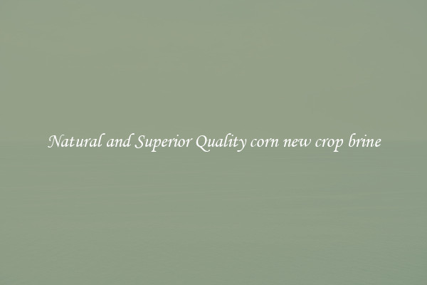 Natural and Superior Quality corn new crop brine