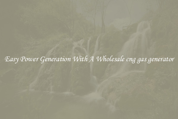 Easy Power Generation With A Wholesale cng gas generator