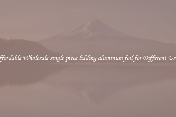 Affordable Wholesale single piece lidding aluminum foil for Different Uses 