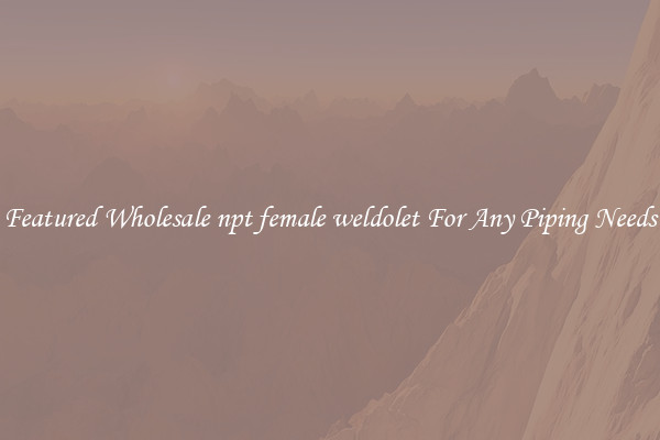 Featured Wholesale npt female weldolet For Any Piping Needs