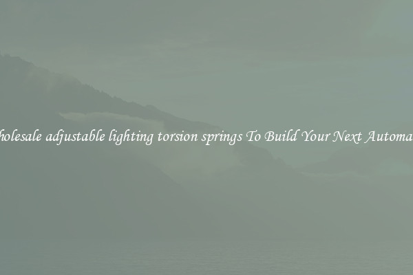 Wholesale adjustable lighting torsion springs To Build Your Next Automaton