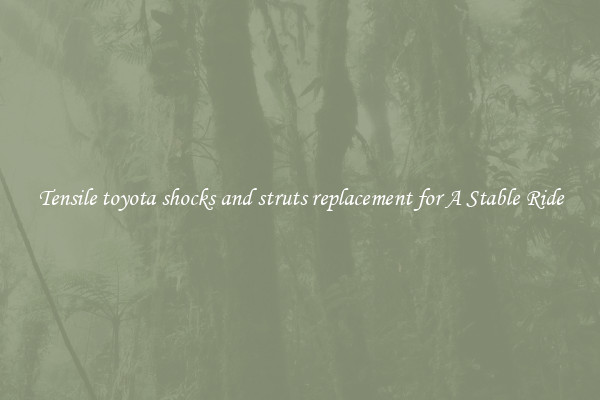 Tensile toyota shocks and struts replacement for A Stable Ride