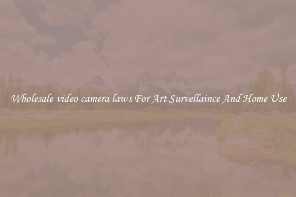 Wholesale video camera laws For Art Survellaince And Home Use