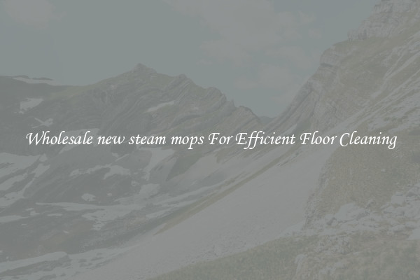 Wholesale new steam mops For Efficient Floor Cleaning