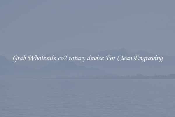 Grab Wholesale co2 rotary device For Clean Engraving