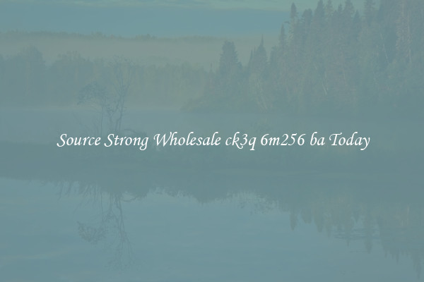 Source Strong Wholesale ck3q 6m256 ba Today
