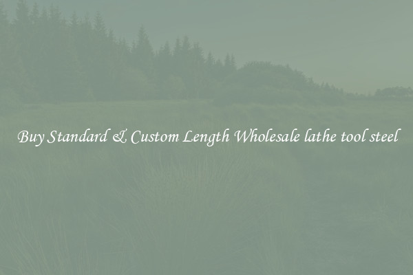 Buy Standard & Custom Length Wholesale lathe tool steel