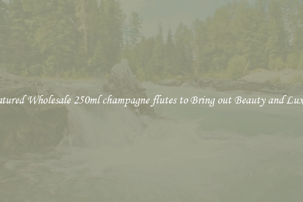 Featured Wholesale 250ml champagne flutes to Bring out Beauty and Luxury
